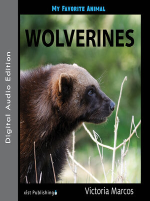 cover image of My Favorite Animal: Wolverines